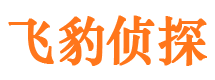 沙湾区捉小三公司